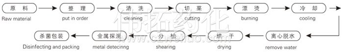脫水（shuǐ）蔬菜（cài）帶式幹燥工藝流程